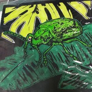 Coloring of a beetle